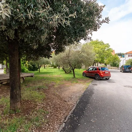 Gardelin In * Zadar